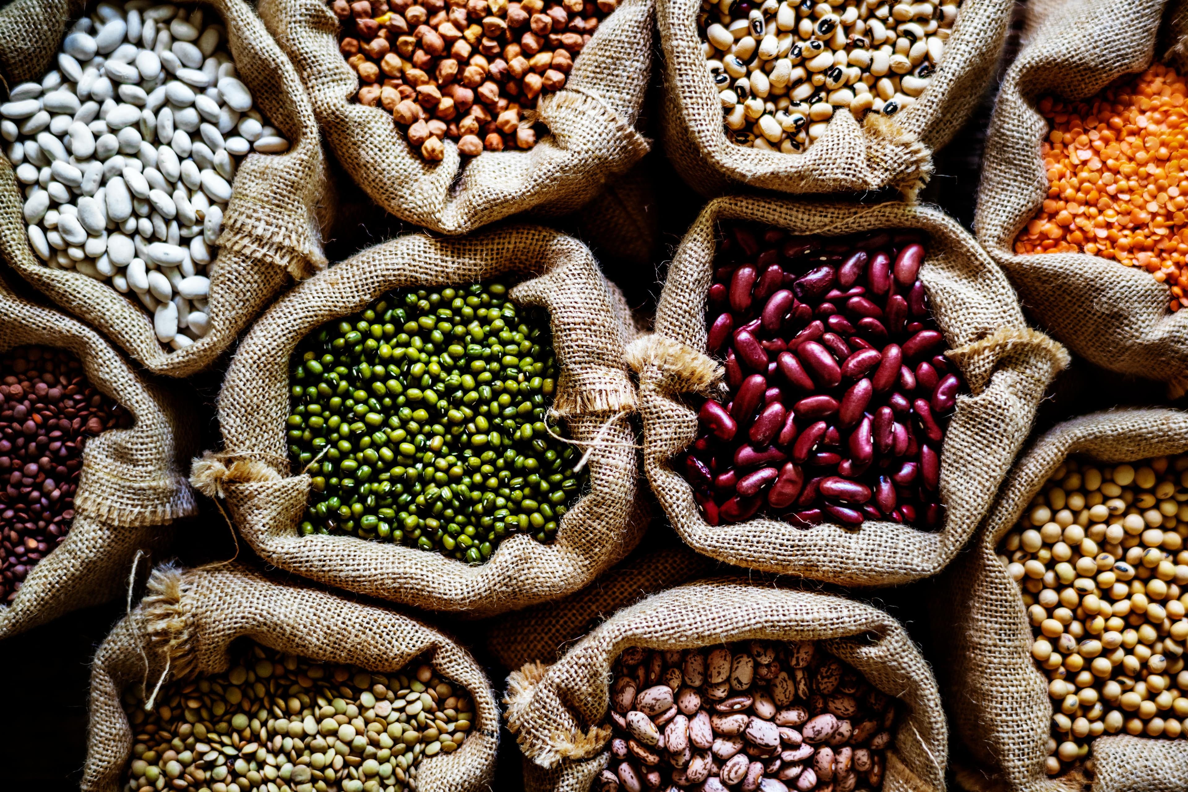 Agriculture & Food
